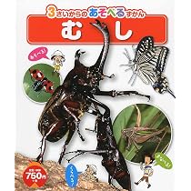 むし (3さいからのあそべるずかん) | 今森 光彦 |本 | 通販 | Amazon